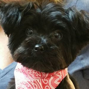 Meet your Posher, Paula